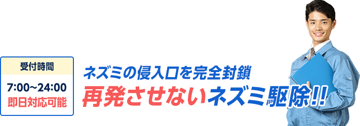 しつこいネズミ被害を解決 再発させないネズミ駆除 ネズミ駆除出張専門館