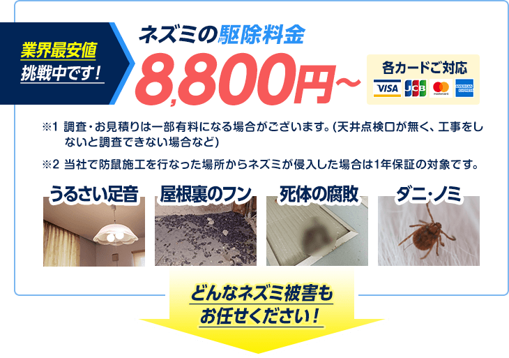 しつこいネズミ被害を解決 再発させないネズミ駆除 ネズミ駆除出張専門館