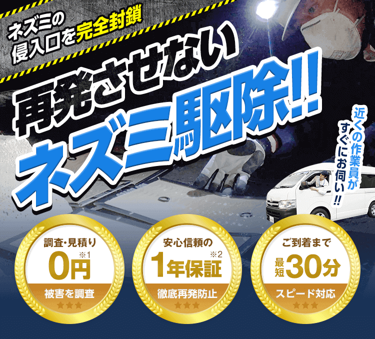 再発させないネズミ駆除。調査・お見積り0円。安心信頼の1年保証。ご到着まで最短30分。駆除後の除菌&消臭のほか、再発を防止します。