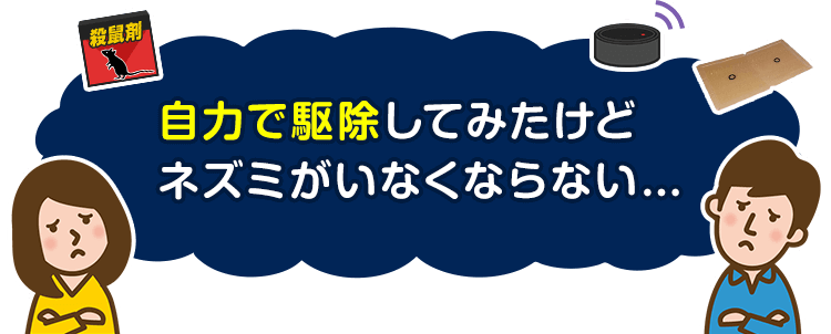 しつこいネズミ被害を解決 再発させないネズミ駆除 ネズミ駆除出張専門館