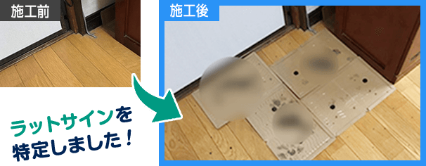 しつこいネズミ被害を解決 再発させないネズミ駆除 ネズミ駆除出張専門館